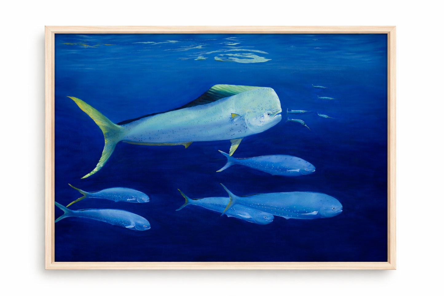 Framed "Mahi Madness" 16x20