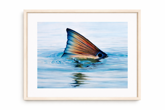 Framed "Tailer Print" 16x20
