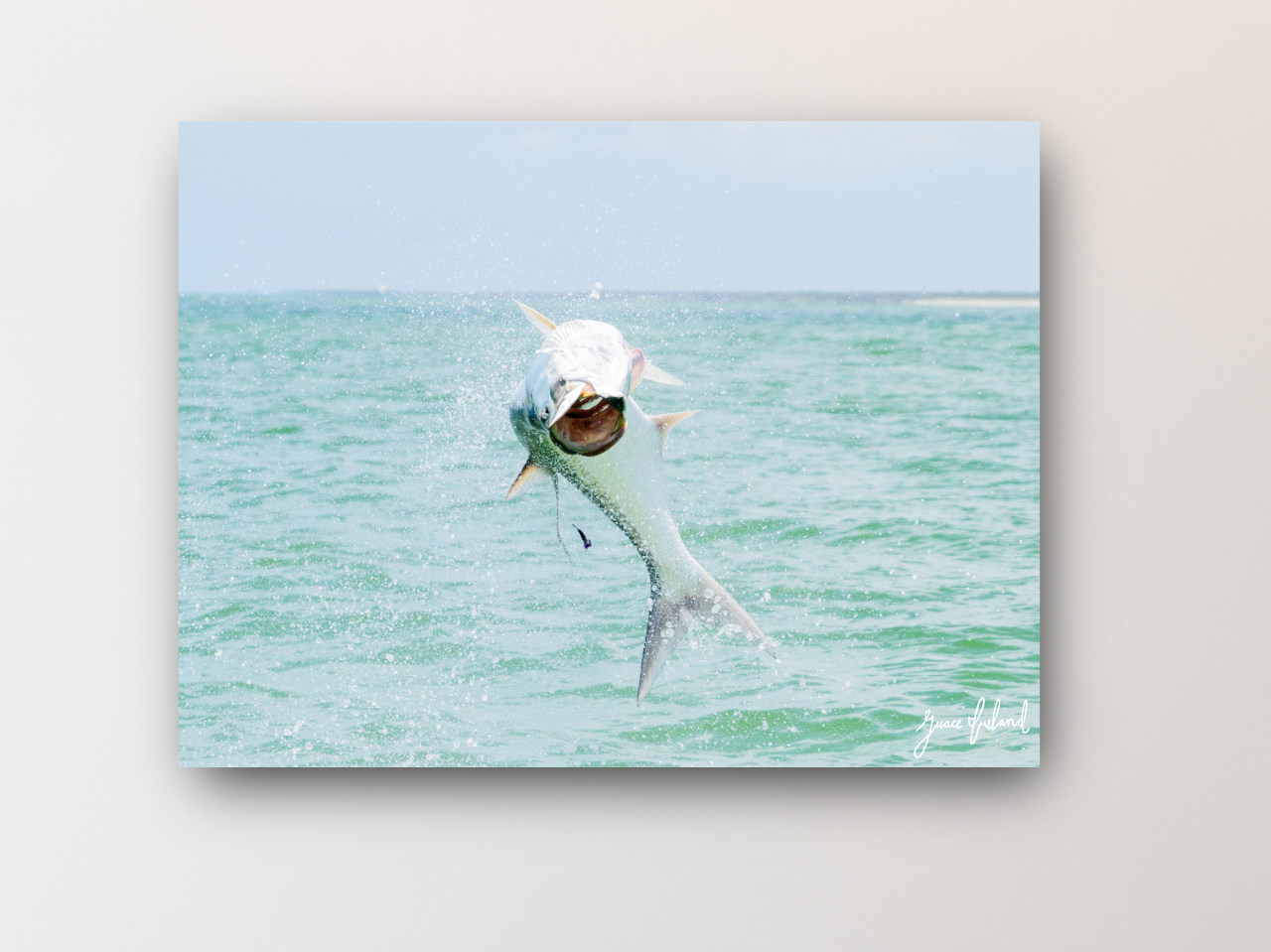 On the Fly