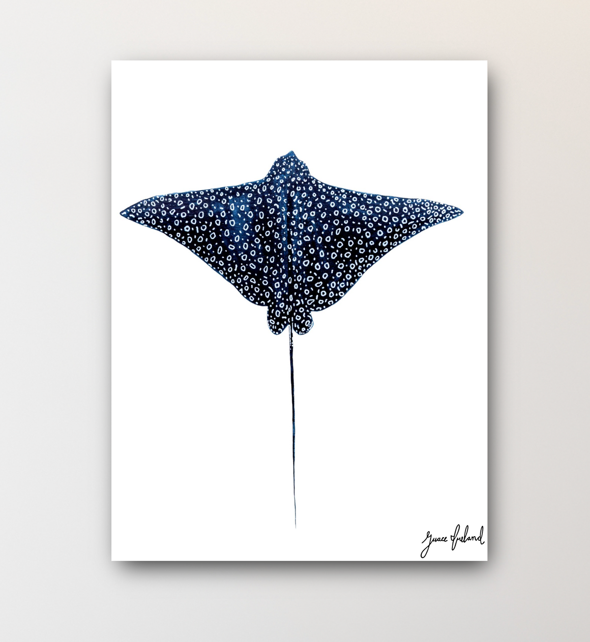 Spotted Eagle Ray