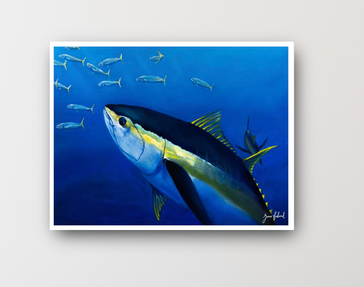 Yellowfin Tuna