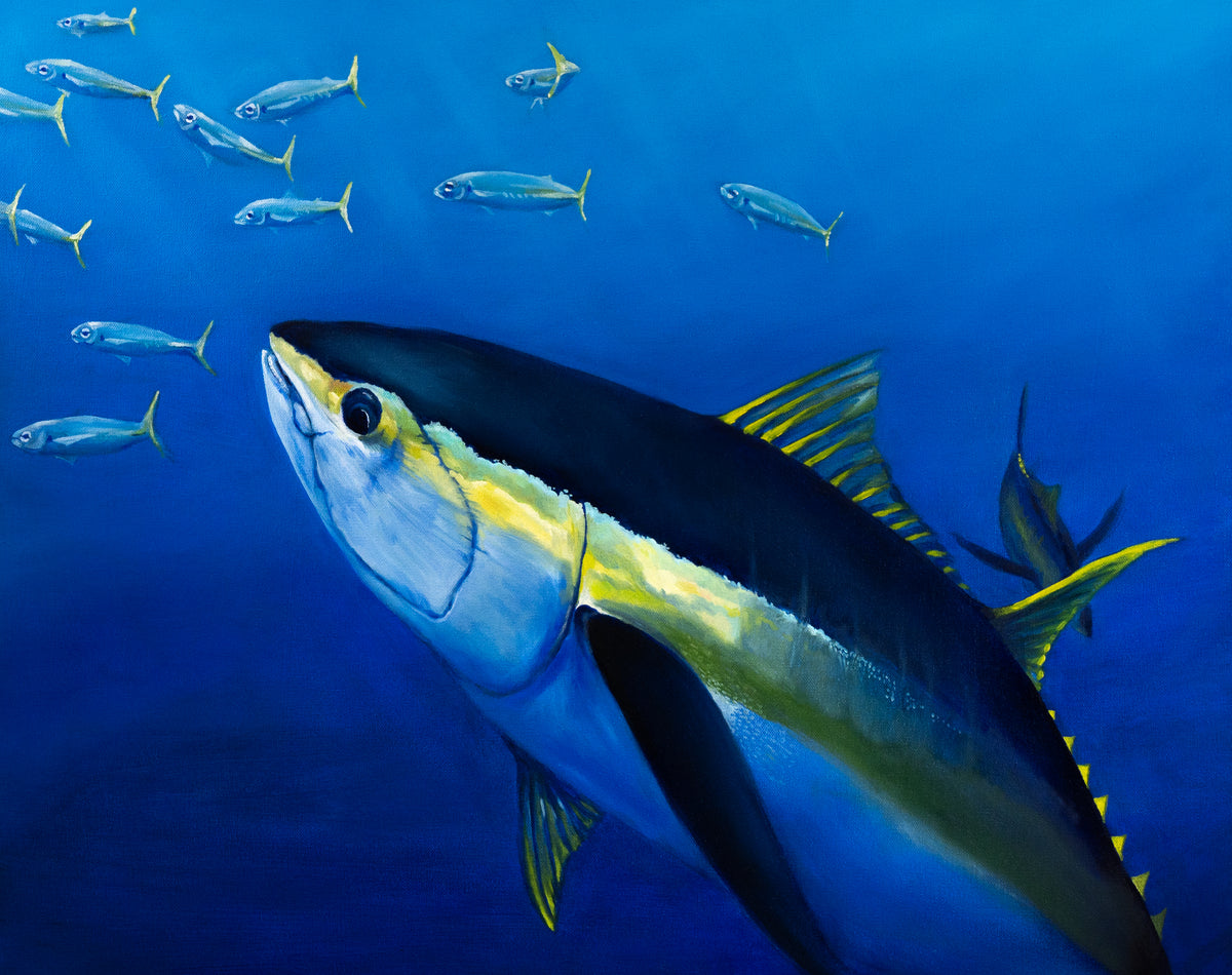 Yellowfin Tuna